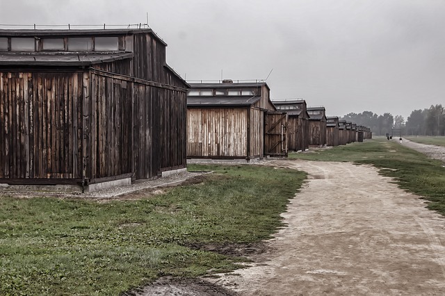 baraki w auschwitz