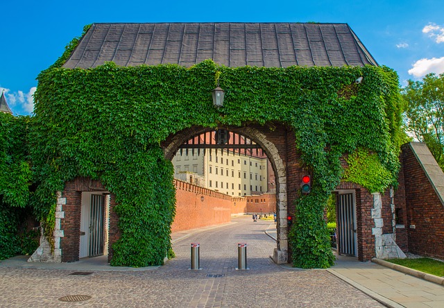 brama wawel