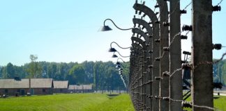 zwiedzanie auschwitz