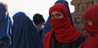 Jaki ser do Burka?