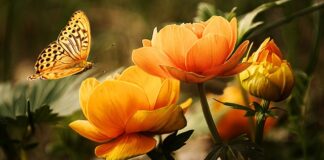 Jak ułatwić sobie mycie okien?