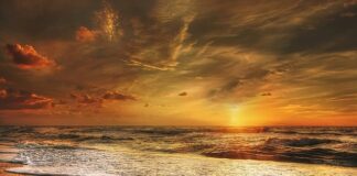 Dlaczego polski złoty jest slaby?