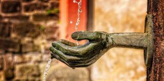 Co jest symbolem Szkocji?