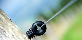 Gdzie w Niemczech pracuję najwięcej Polaków?