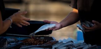 Czy rodzina właściciela może sprzedawać w niedziele?