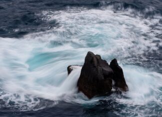 Jaka jest cena 1 euro?