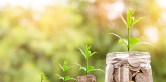 Co to za moneta Elizabeth?