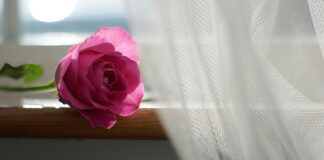 Dlaczego w Skandynawii nie ma firanek?