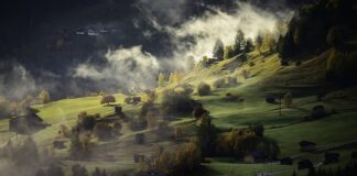 Jak wyglądają domy w Wielkiej Brytanii?