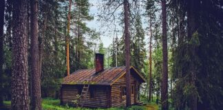 Skąd Finlandia ma gaz?