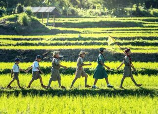 Z czego składa się tartan?