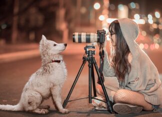 Za co Niemcy kochają Polki?