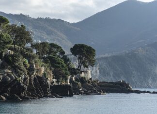 Ile kosztuje 50 pensów?