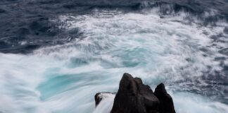 Jakie są ceny w Szkocji?