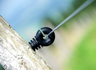 Ile Polaków mieszka w Norwegii?