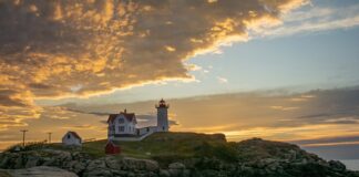 Co można przywieźć z Anglii do Polski?