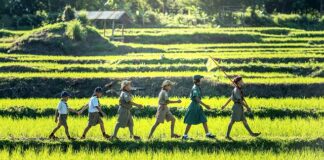 Jak wygląda tartan?