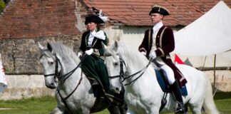 Ile jest kun za 100 €?